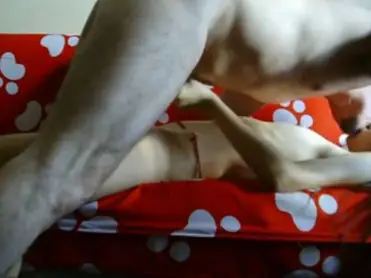 ABG Bispak Jakarta Live Hotel Skandal Terbaru